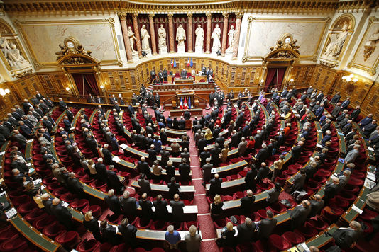 Le Sénat adopte la proposition de loi relative à l’extension du délit d’entrave à l’IVG