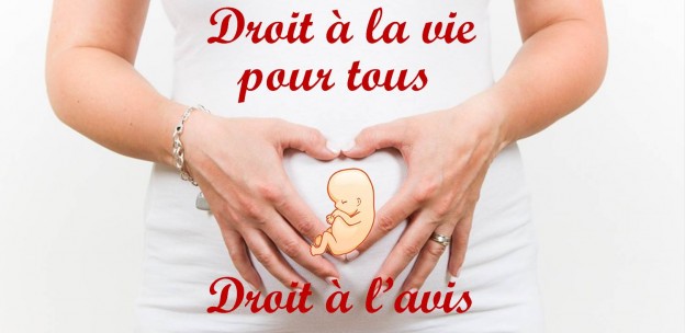 Avortement – Un avis positif en Irlande, un avis reporté en France