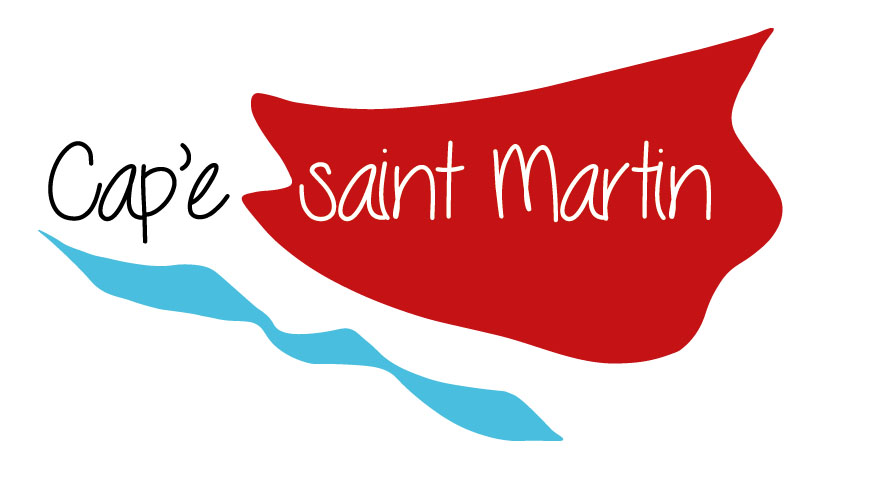 « Cap’e saint Martin » : grand rassemblement diocésain à Tours pour l’Ascension