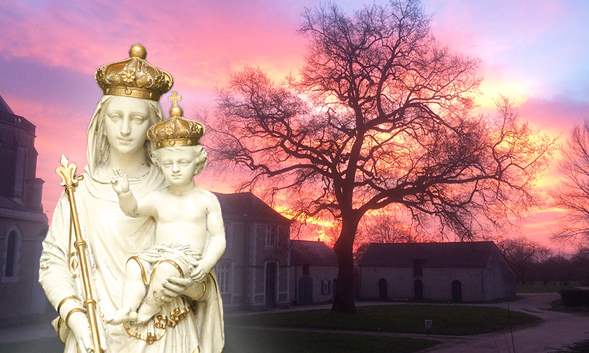 Notre histoire avec Marie – Notre-Dame du Chêne, reine du silence et de la compassion