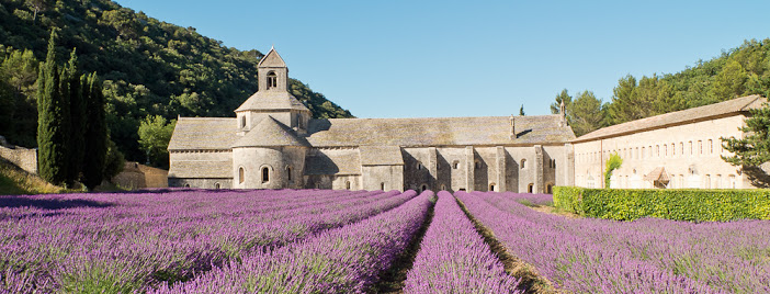 Visites à l’abbaye de Senanque – jusqu’au 30 septembre