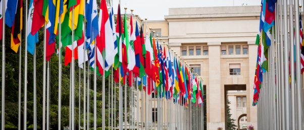 ONU : quand le Comité des droits de l’homme révise la définition du “droit à la vie”