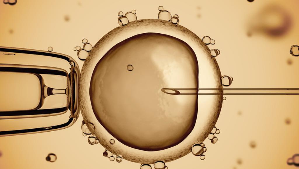 Loi de bioéthique : “l’embryon humain est la variable d’ajustement du jeu politique”