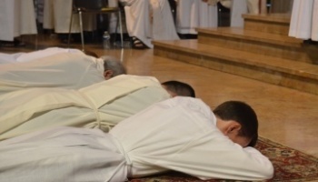 Trois ordinations sacerdotales dans le diocèse d’Avignon (84) le 24 juin 2018