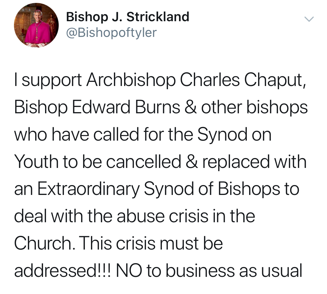 États-Unis: Mgr Strickland demande l’annulation du Synode sur la jeunesse