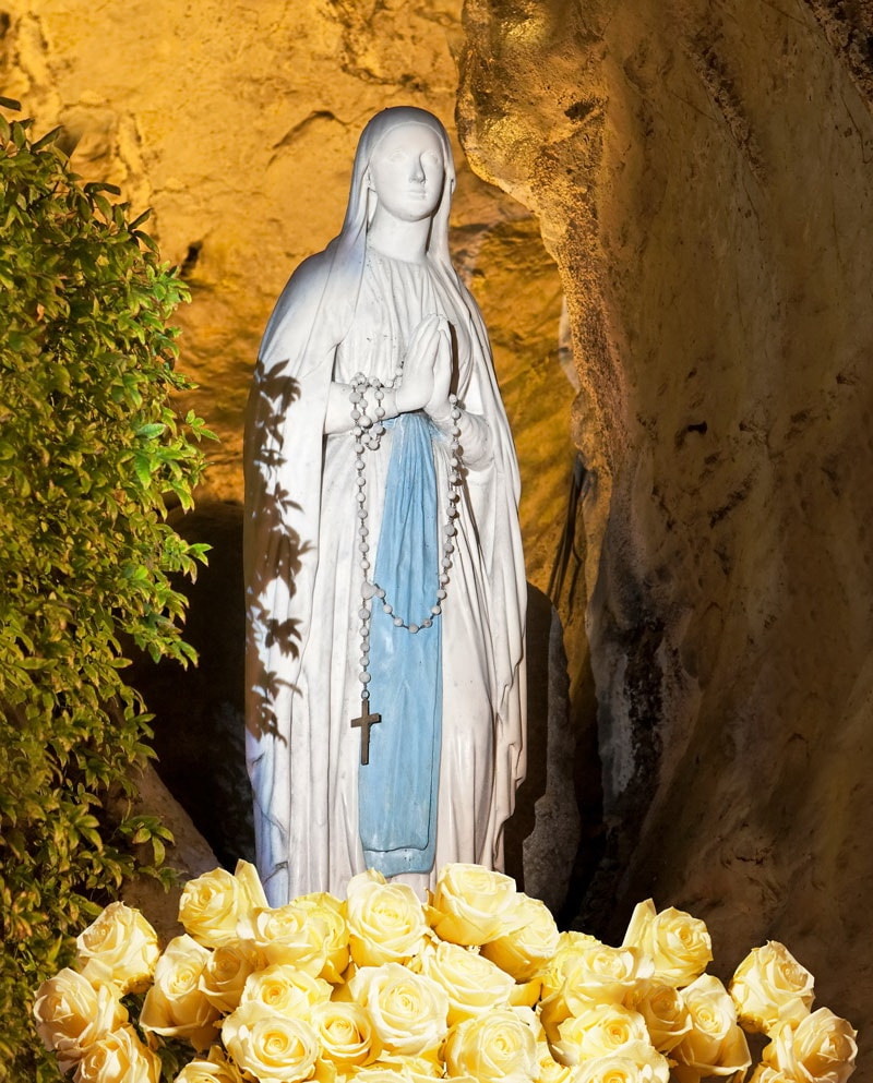 Offrez une rose à Notre-Dame de Lourdes, pour la fête de l’Immaculée Conception