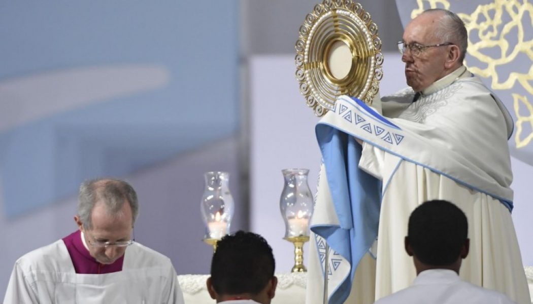 Pape François : “Personne ne peut grandir sans racines fortes”