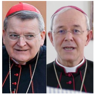 Lettre du cardinal Burke et de Mgr Schneider sur la question de la fidélité au pape
