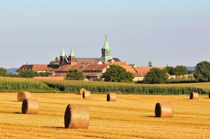 L’abbaye d’Oelenberg et ses pâtes 100% monastiques et artisanales ! (Divine Box)