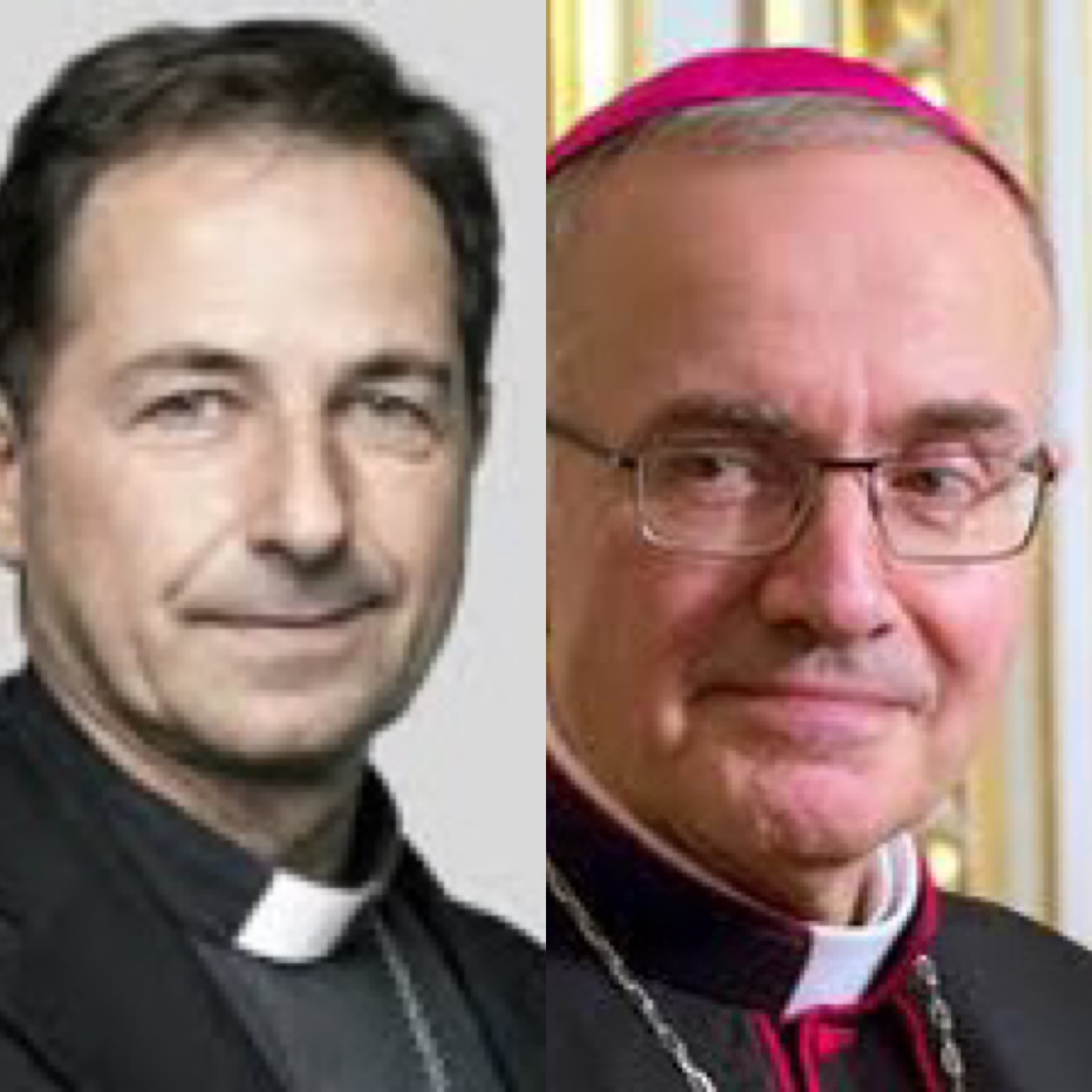 France: deux évêques démissionnent de leur siège pour devenir auxiliaires