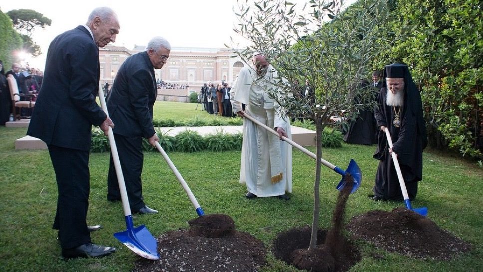 Le Vatican annonce l’institution d’une «messe pour la sauvegarde de la création »